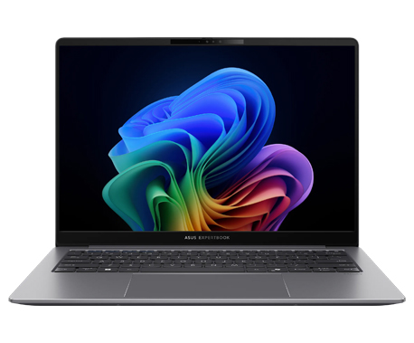 ASUS Expertbook P5 1